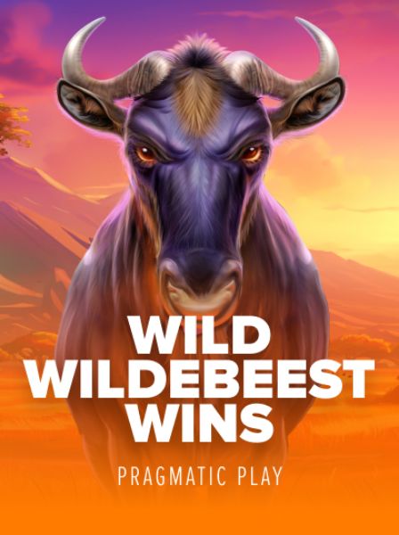 MobileBet Pro: Các Giải Thưởng Hấp Dẫn Dành Cho Người Đăng Ký Mới
